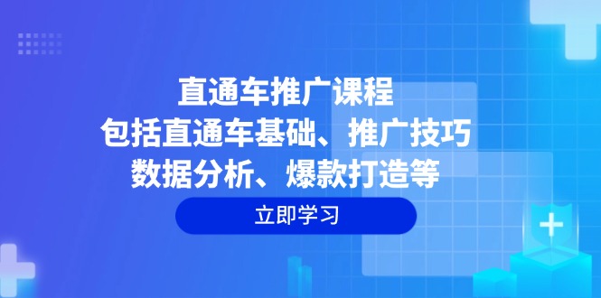 直通车推广课程：包括直通车基础、推广技巧、数据分析、爆款打造等-鼎铸网