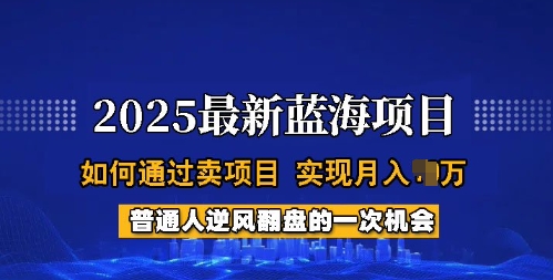 2025蓝海项目，普通人如何通过卖项目，实现月入过W，全过程【揭秘】-鼎铸网