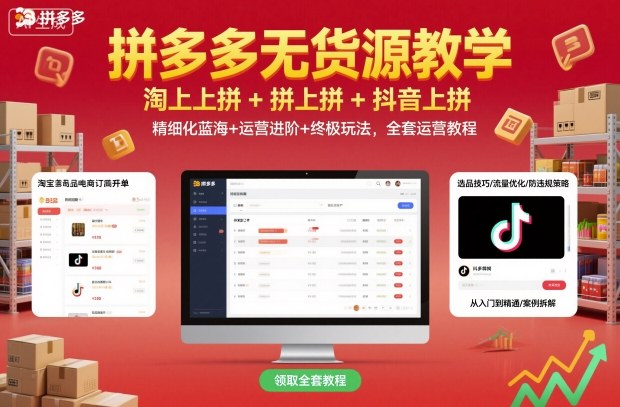 拼多多无货源教学，淘上拼+拼上拼+抖上拼，精细化蓝海+运营进阶+终极玩法，全套运营教程-鼎铸网