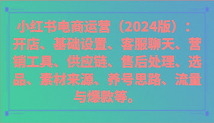 小红书电商运营(2024版)：开店、设置、供应链、选品、素材、养号、流量与爆款等-鼎铸网
