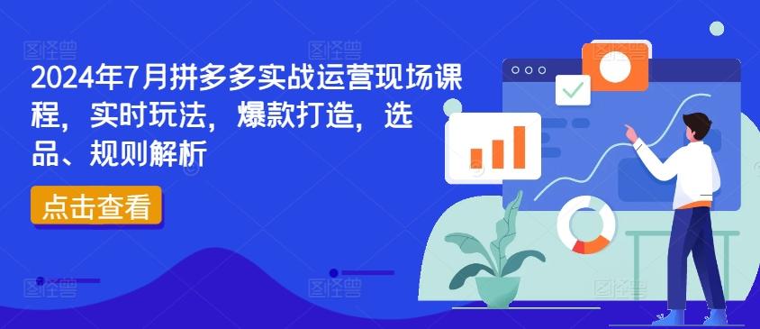2024年7月拼多多实战运营现场课程，实时玩法，爆款打造，选品、规则解析-鼎铸网