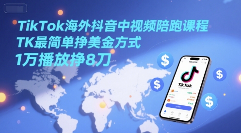 TikTok海外抖音中视频陪跑课程，TK最简单挣美金方式，1万播放挣8刀-鼎铸网
