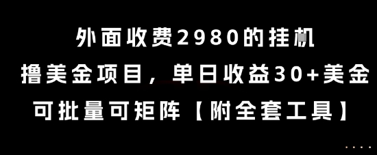 外面收费2980的挂G撸美金项目，单日收益30+美金，可批量可矩阵【揭秘】-鼎铸网