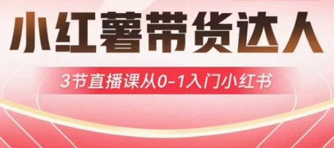小红薯达人带货启航计划，3节直播课从0-1入门小红书-鼎铸网