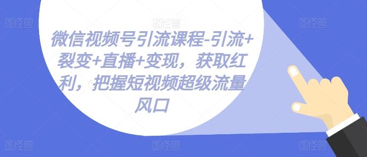微信视频号引流课程-引流+裂变+直播+变现，获取红利，把握短视频超级流量风口-鼎铸网