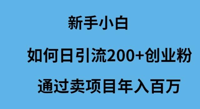 (9668期)新手小白如何日引流200+创业粉通过卖项目年入百万-鼎铸网