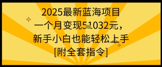 2025最新蓝海项目一个月变现1w+新手小白也能轻松上手【附全套指令】-鼎铸网