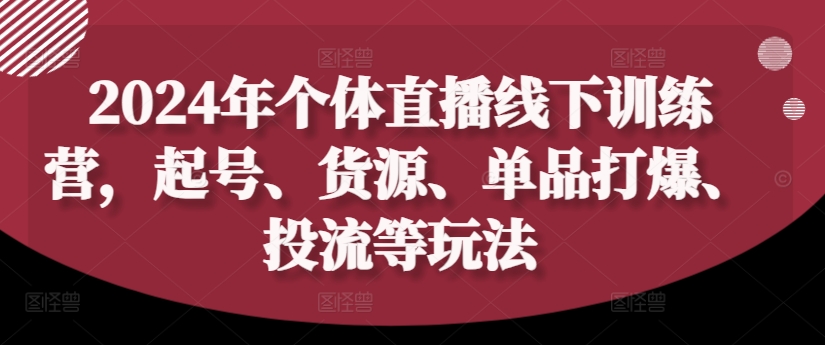 2024年个体直播训练营，起号、货源、单品打爆、投流等玩法-鼎铸网