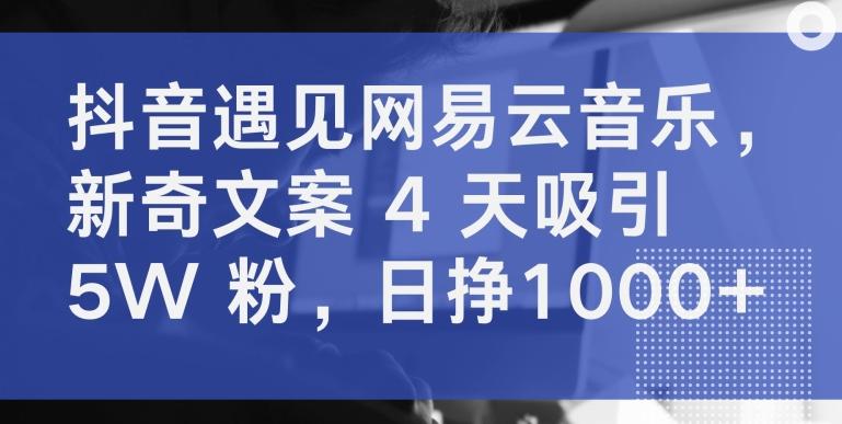 抖音遇见网易云音乐，新奇文案 4 天吸引 5W 粉，日挣1000+【揭秘】-鼎铸网