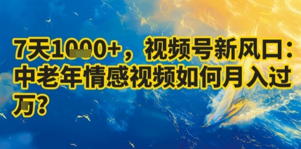 7天收益1k+，视频号新风口：中老年情感视频如何月入过W?-鼎铸网