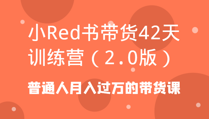 小Red书带货42天训练营(2.0版)普通人月入过万的带货课-鼎铸网