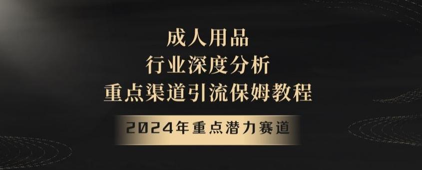 2024年重点潜力赛道，成人用品行业深度分析，重点渠道引流保姆教程【揭秘】-鼎铸网