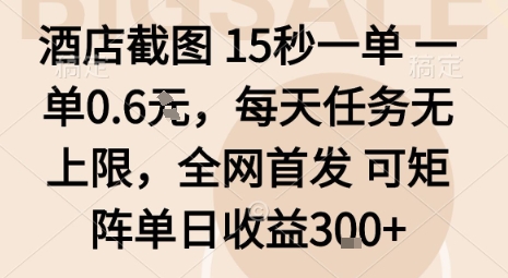 酒店截图15秒一单，一单0.6米，每天任务无上限，全网首发可矩阵单日收益3张【揭秘】-鼎铸网