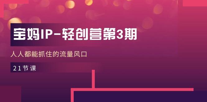 宝妈IP-轻创营第3期，人人都能抓住的流量风口(21节课-鼎铸网