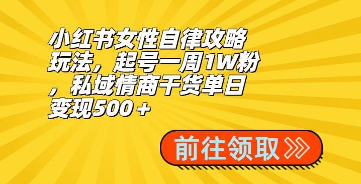 小红书女性自律攻略玩法，起号一周1W粉，私域情商干货单日变现500＋-鼎铸网