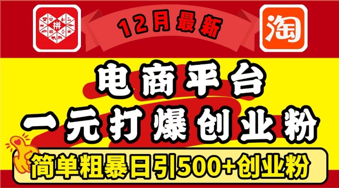 12月最新：电商平台1元打爆创业粉，简单粗暴日引500+精准创业粉，轻松月入过W【揭秘】-鼎铸网