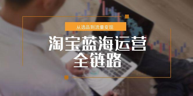 淘宝蓝海运营全链路，从选品到流量变现，小类目突围完整方案-鼎铸网