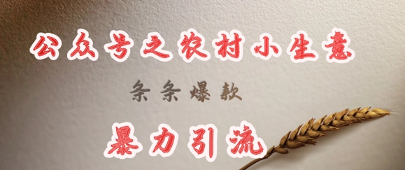 deepseek写农村小项目，条条爆款，暴力引流-鼎铸网