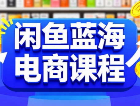 闲鱼蓝海电商课程-鼎铸网