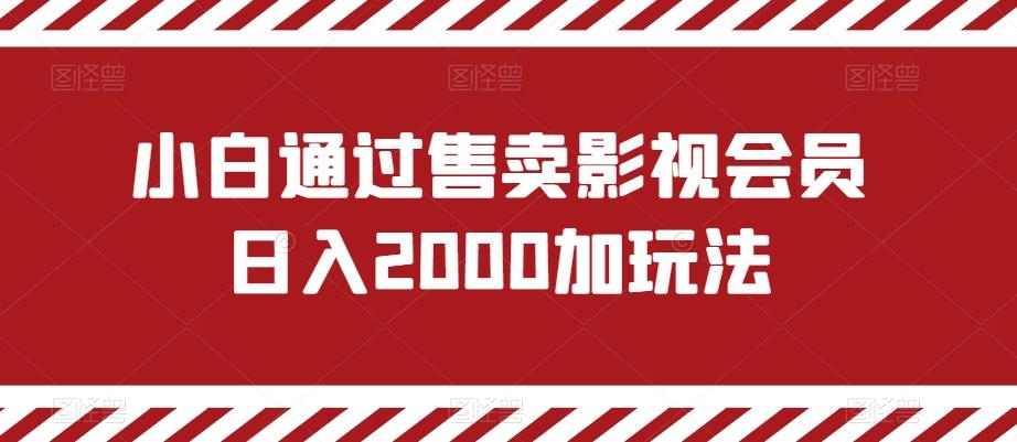 小白通过售卖影视会员日入2000加玩法-鼎铸网