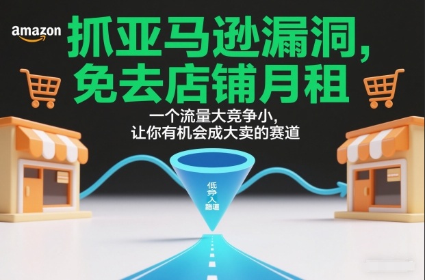 抓亚马逊漏洞，免去店铺月租，一个流量大竞争小，让你有机会成大卖的赛道-鼎铸网