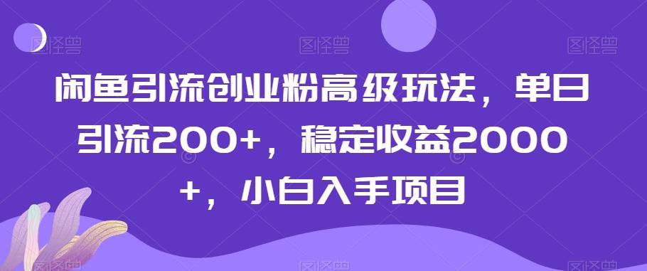 闲鱼引流创业粉高级玩法，单日引流200+，稳定收益2000+，小白入手项目-鼎铸网