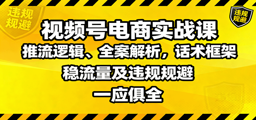 视频号电商实战课：推流逻辑、全案解析，话术框架，稳流量及违规规避等-鼎铸网