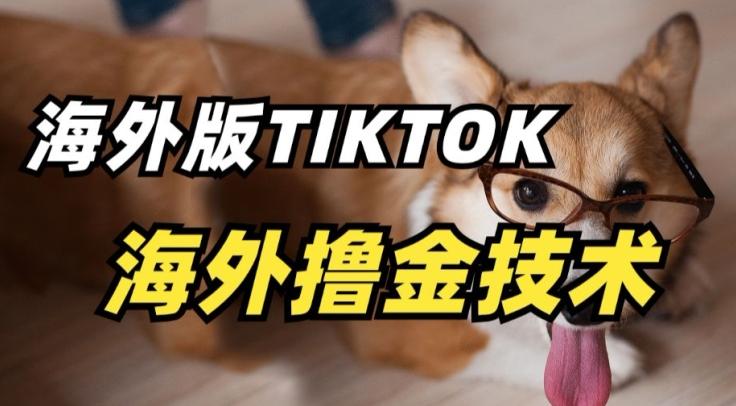 抖音海外版tiktok撸金技术，这个风口行业，赚钱真的不难【揭秘】-鼎铸网