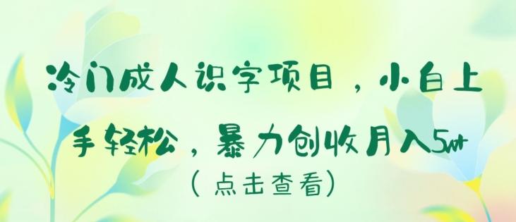 冷门成人识字项目，小白上手轻松，暴力创收月入5w+【揭秘】-鼎铸网