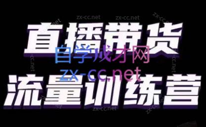 婉婉·直播带货课程系列合集(更新8月)-鼎铸网