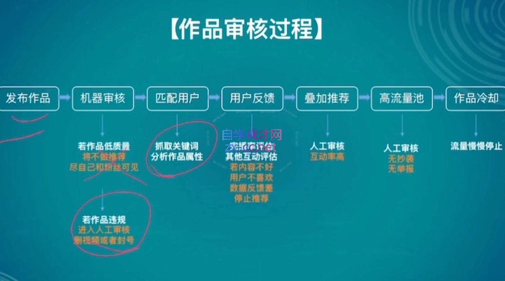 伊伊·红薯【高级班】运营课