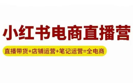 申铭老师·小红书电商直播营(更新)-鼎铸网