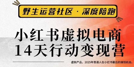 小红书虚拟电商14天变现训练营3.0，​虚拟产品，2025年普通人在小红书最后的搞钱机会-鼎铸网