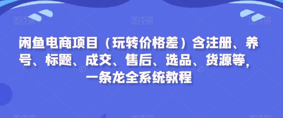 闲鱼电商项目(玩转价格差)含注册、养号、标题、成交、售后、选品、货源等，一条龙全系统教程-鼎铸网