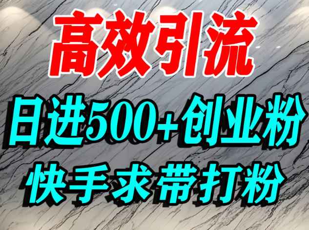 怎么打创业粉？快手求带视角精准引流创业粉，宝妈、学生群体日进500+精准流量-鼎铸网