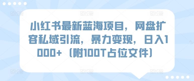 小红书最新蓝海项目，网盘扩容私域引流，暴力变现，日入1000+(附100T占位文件)【揭秘】-鼎铸网