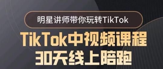 TikTok中视频课程30天线上陪跑，明星讲师带你玩转TikTok-鼎铸网