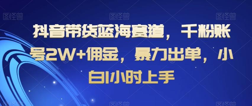 抖音带货蓝海赛道，千粉账号2W+佣金，暴力出单，小白1小时上手【揭秘】-鼎铸网