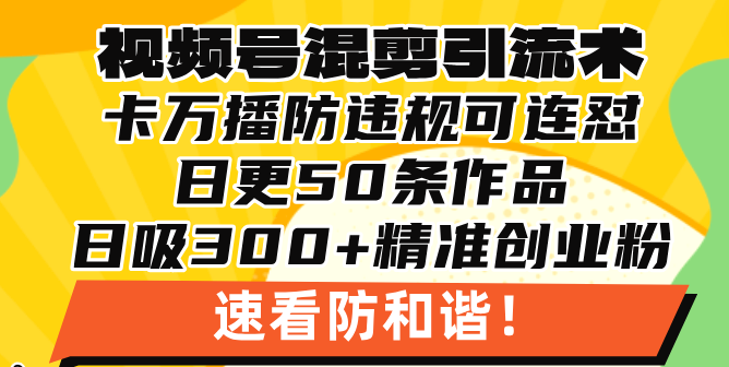 视频号混剪引流技术，500万播放引流17000创业粉，操作简单当天学会-鼎铸网