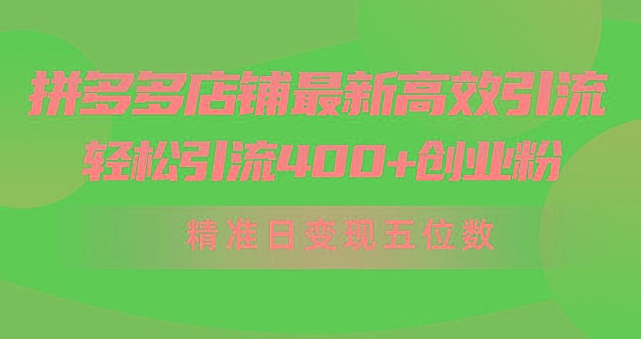 (10041期)拼多多店铺最新高效引流术，轻松引流400+创业粉，精准日变现五位数！-鼎铸网