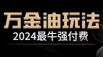 2024最牛强付费，万金油强付费玩法，干货满满，全程实操起飞-鼎铸网