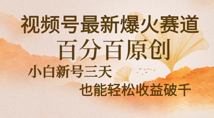 视频号最新爆火赛道，中老年粉深信不疑，百分百原创，新号三天收益轻松...-鼎铸网