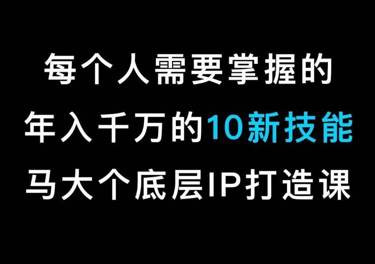 马大个的IP底层逻辑课，​每个人需要掌握的年入千万的10新技能，约会底层IP打造方法！-鼎铸网