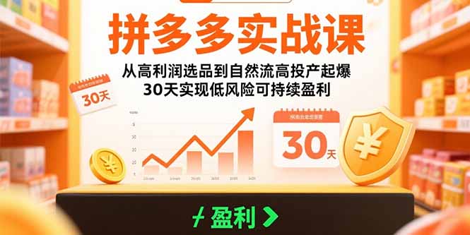 拼多多实战课：从高利润选品到自然流高投产起爆 30天实现低风险可持续盈利-鼎铸网