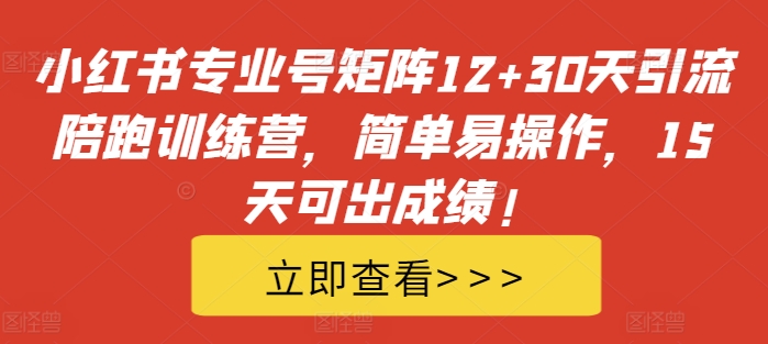 小红书专业号矩阵12+30天引流陪跑训练营，简单易操作，15天可出成绩!-鼎铸网