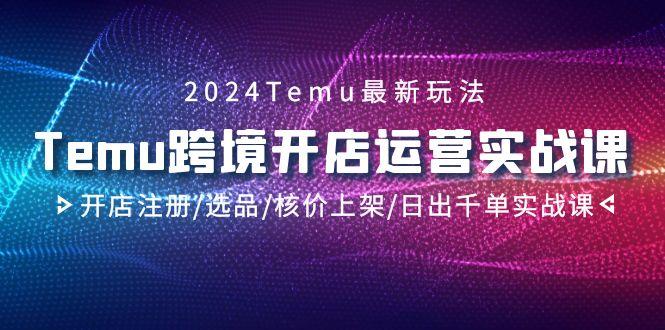 2024Temu跨境开店运营实战课，开店注册/选品/核价上架/日出千单实战课-鼎铸网