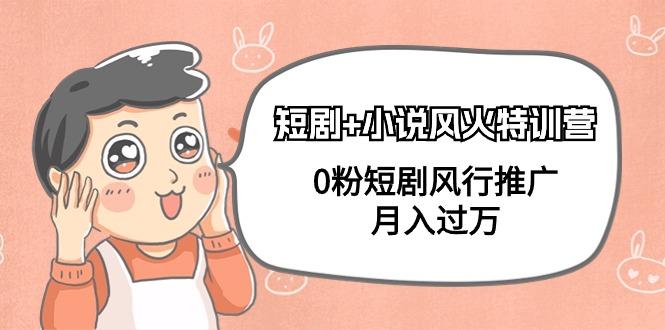 (9374期)短剧+小说风火特训营，0粉短剧风行推广，月入过万(102节课)-鼎铸网