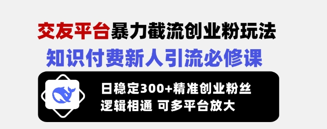 交友平台暴力截流创业粉玩法，知识付费新人引流必修课，日稳定300+精准创业粉丝，逻辑相通可多平台放大-鼎铸网