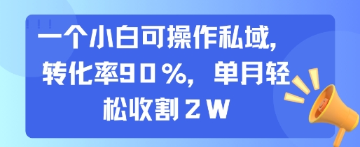 一个小白可操作私域，转化率90%，单月轻松收割2W-鼎铸网