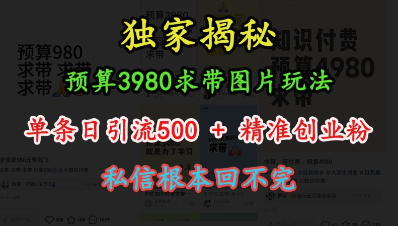 预算3980求带 图片玩法，单条日引流500+精准创业粉，私信根本回不完-鼎铸网